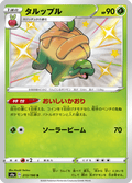 Appletun 213/190 - Shiny Star V - Shiny Rare